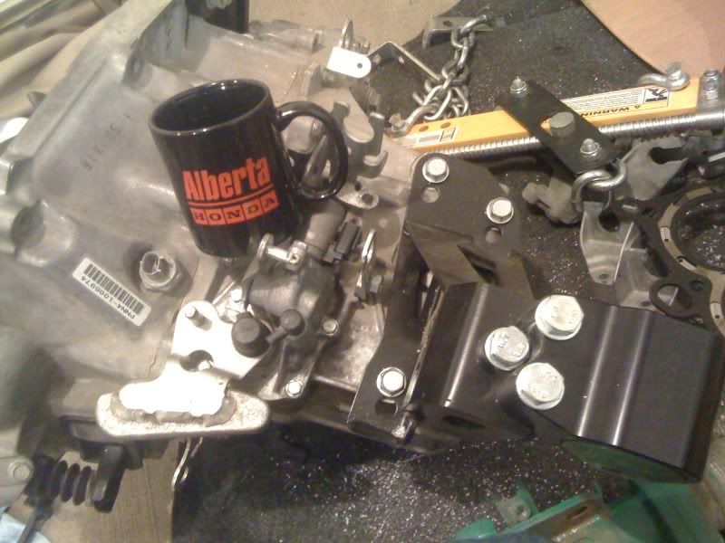 Innovative VS. Hasport Honda / Acura K20a K24a Engine Forum